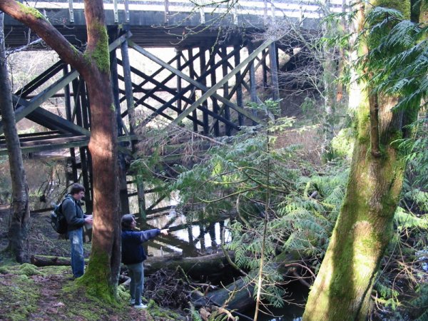below bridge