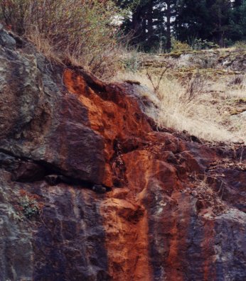 iron bacteria stain