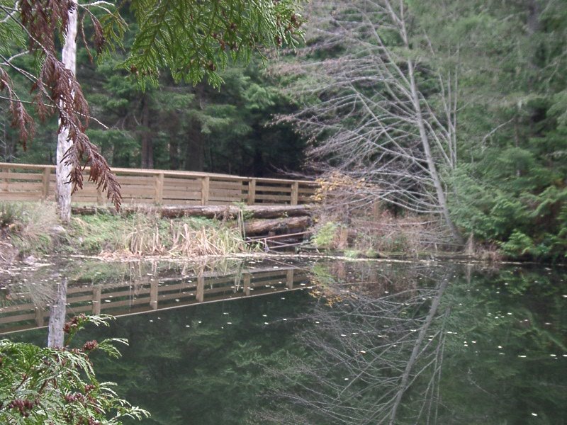 Irwin Park dam