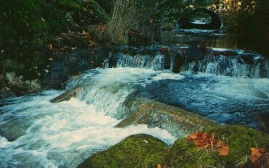 Normal water flows